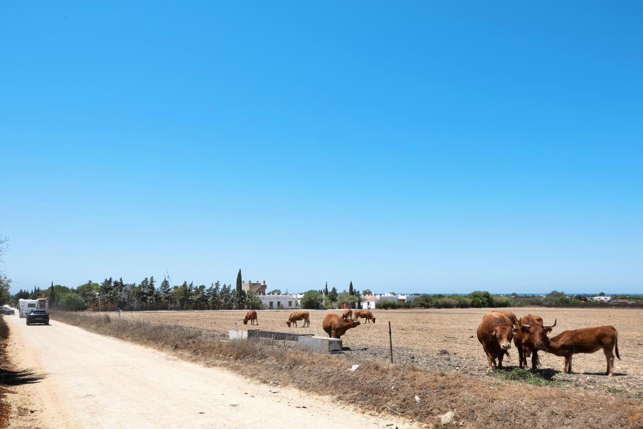贝赫尔-德拉弗龙特拉Casa Mora - Vejer, El Palmar别墅 外观 照片